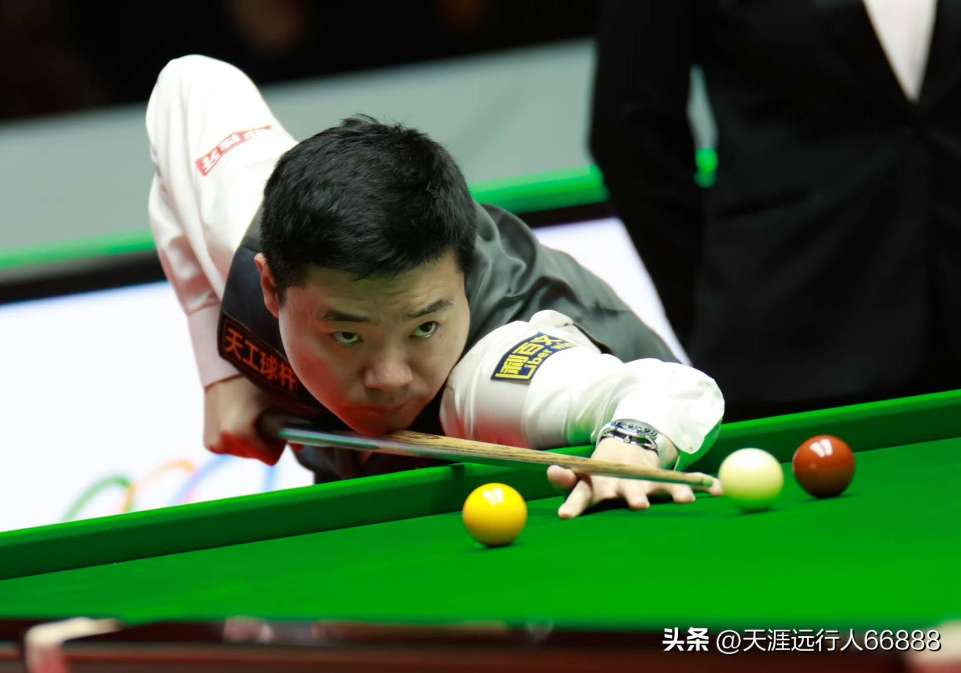 个城市展示 个城市展示