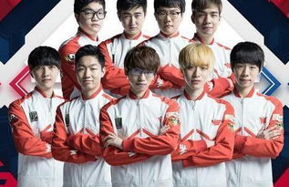 这两只老虎 这两只老虎