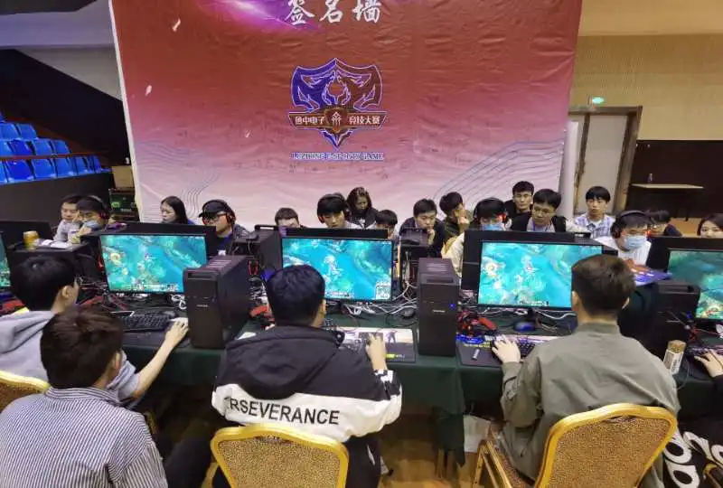 稳定性 稳定性